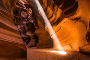 Las Vegas: tour di Antelope Canyon, Bryce, Zion e Horseshoe Bend