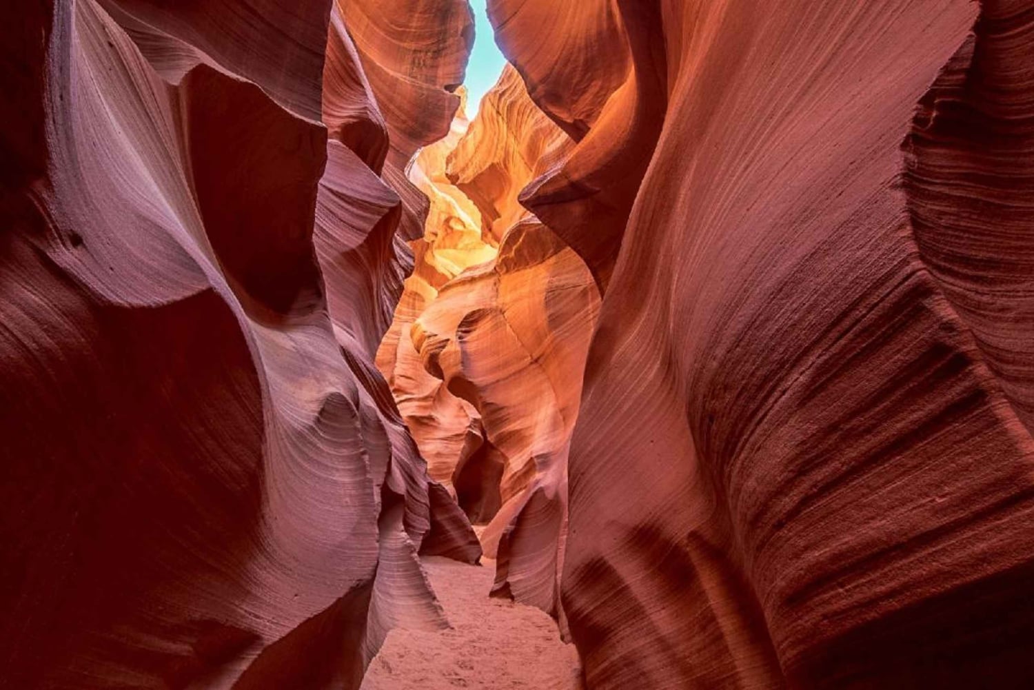 Las Vegas: tour privato dell'Antelope Canyon e dell'Horseshoe Bend