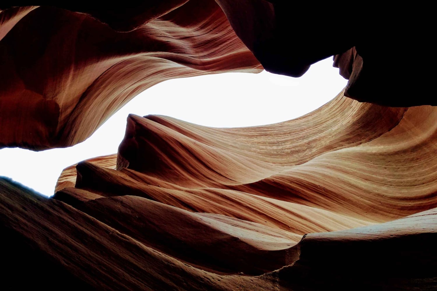 Las Vegas: tour privato dell'Antelope Canyon e dell'Horseshoe Bend