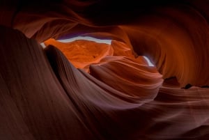 Antelope Canyon, Horseshoe Bend-tur med frokost
