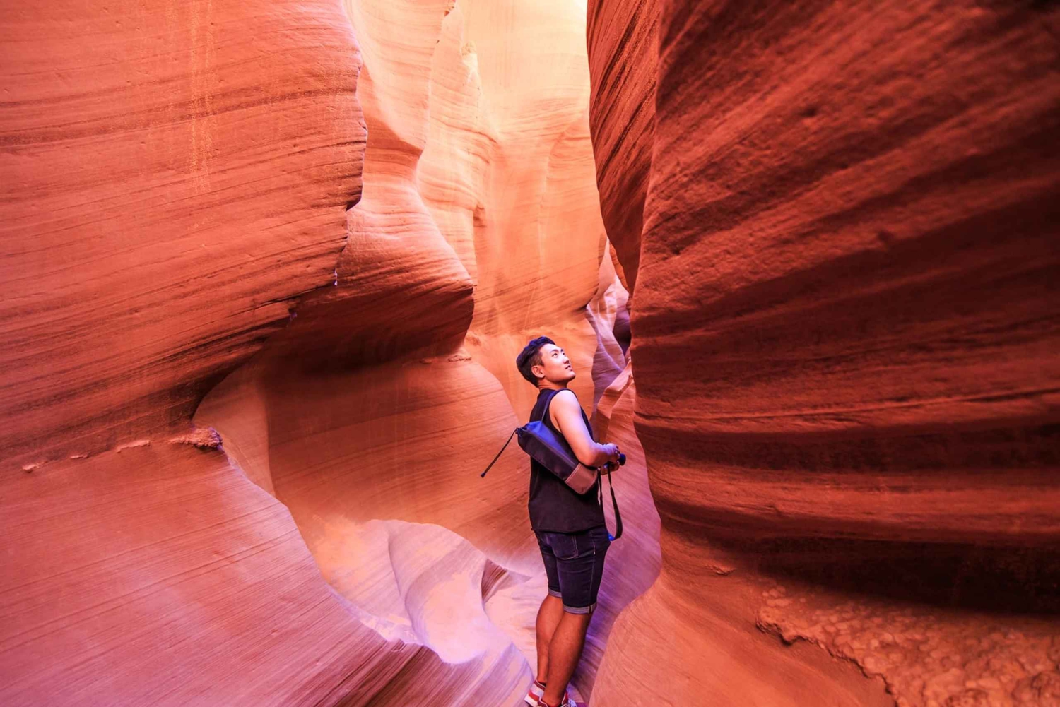 Las Vegas: Excursión al Cañón del Antílope y Horseshoe Bend