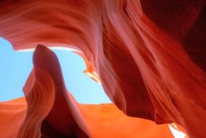 Fra Las Vegas: Dagstur til Antelope Canyon og Horseshoe Bend