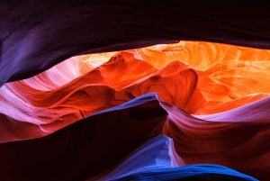 Fra Las Vegas: Dagstur til Antelope Canyon og Horseshoe Bend