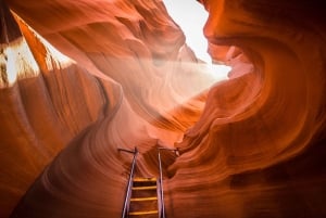 Fra Las Vegas: Dagstur til Antelope Canyon og Horseshoe Bend