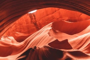 Fra Las Vegas: Dagstur til Antelope Canyon og Horseshoe Bend