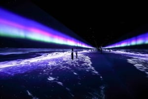 ARTE MUSEUM LAS VEGAS - Immersive Kunstausstellung