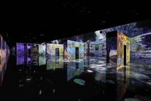 ARTE MUSEUM LAS VEGAS - 没入型アート展