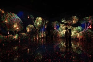 ARTE MUSEUM LAS VEGAS - Exposition d'art immersive