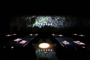 ARTE MUSEUM LAS VEGAS - Exposition d'art immersive