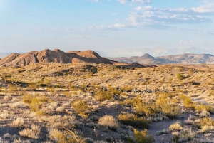 Las Vegas ATV-eventyr: 3 timer med adrenalin i ørkenen