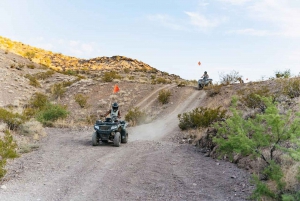 Las Vegasin ATV-seikkailu: 3h adrenaliinia aavikolla: 3h adrenaliinia aavikolla