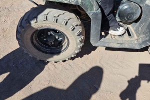 Aventura ATV em Las Vegas: 3h de Adrenalina no Deserto