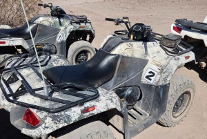 Las Vegas ATV Adventure: 3 godziny adrenaliny na pustyni