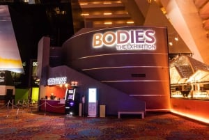 Las Vegas: BODIES | The Exhibition at the Luxor
