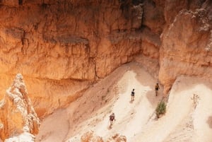 Discover Bryce and Zion National Parks with Lunch