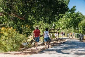 Bryce og Zion nasjonalparker tur med lunsj