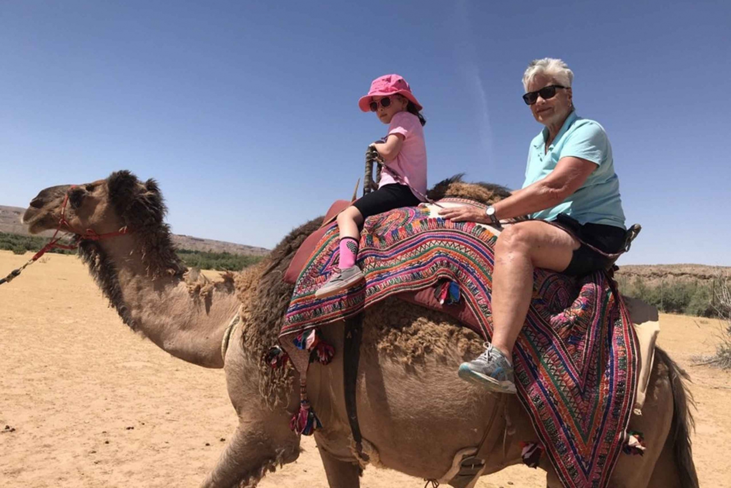 Las Vegas: Passeio de camelo pelo deserto