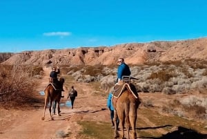 Las Vegas: Kamelritt in der Wüste