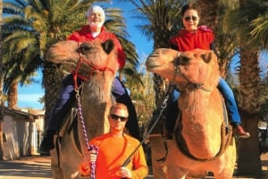 Las Vegas : Balade à dos de chameau dans le désert