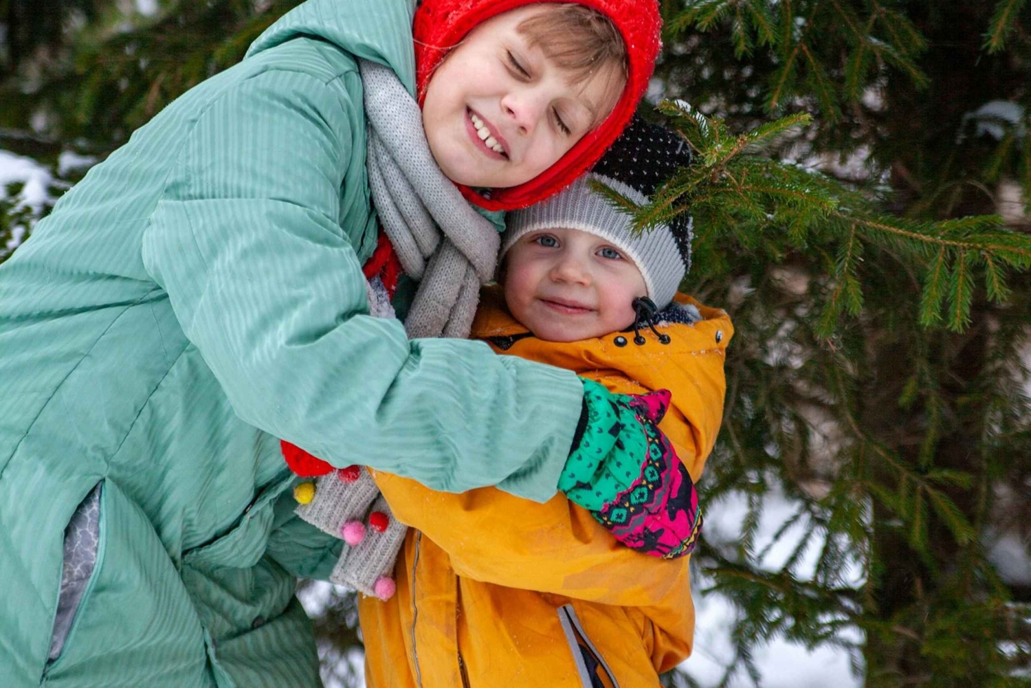 Las Vegas: l'avventura di tagliare il tuo albero di Natale