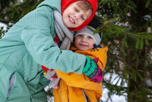 Las Vegas: l'avventura di tagliare il tuo albero di Natale