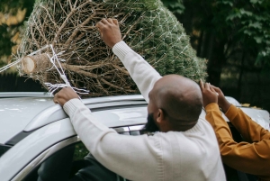 Las Vegas: l'avventura di tagliare il tuo albero di Natale