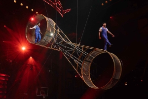 ラスベガスシルク・ドゥ・ソレイユ マッド・アップル