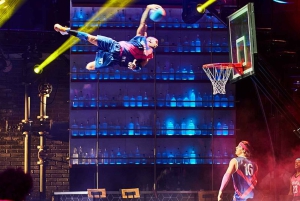 ラスベガスシルク・ドゥ・ソレイユ マッド・アップル