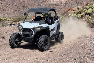 Las Vegas: Colorado River Adrenaline RZR Tour