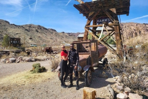 Las Vegas: Colorado River Adrenaline RZR Tour