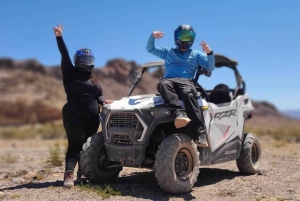 Las Vegas: Colorado River Adrenaline RZR Tour