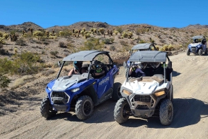 Las Vegas: Colorado River Adrenaline RZR Tour