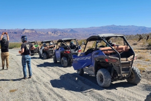 Las Vegas: Colorado River Adrenaline RZR Tour