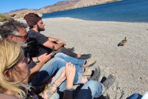 Las Vegas: Colorado River Adrenaline RZR Tour