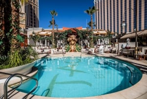 Las Vegas: Day Club Pool Party with Free Drinks & Party Bus