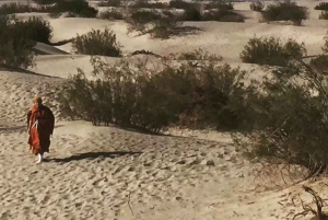 Las Vegas: Death Valley In-Depth SUV Small Group Day Trip