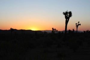 Las Vegas : Vallée de la mort : coucher de soleil et observation des étoiles