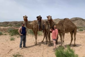 Las Vegas: Ridt på ørkenkameler
