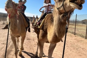 Las Vegas: Kameltur i ørkenen