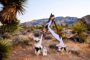 Las Vegas: Hochzeit in der Wüstenlandschaft mit Transport