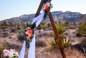 Las Vegas: Desert Landscape Wedding with Transportation