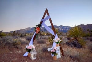 Las Vegasissa: Las Vegas: Desert Landscape Wedding with Transportation