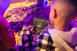 Las Vegas: Dino Safari Walk Through Adventure Entry Ticket