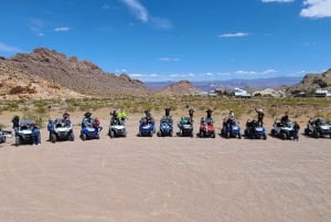 Las Vegas : Eldorado Canyon : visite guidée d'une demi-journée en ATV/UTV