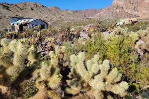 Tour de aventura por el Cañón Eldorado y el pueblo fantasma de Nelson en Las Vegas