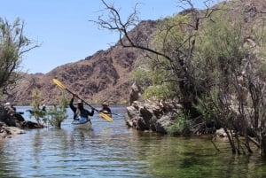 Las Vegas: Kajak-Tour zur Emerald Cave von Willow Beach