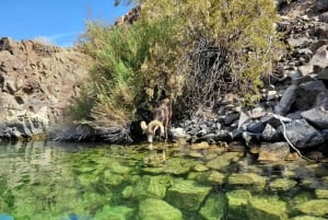 Las Vegas: Emerald Cave kajak tur med foton