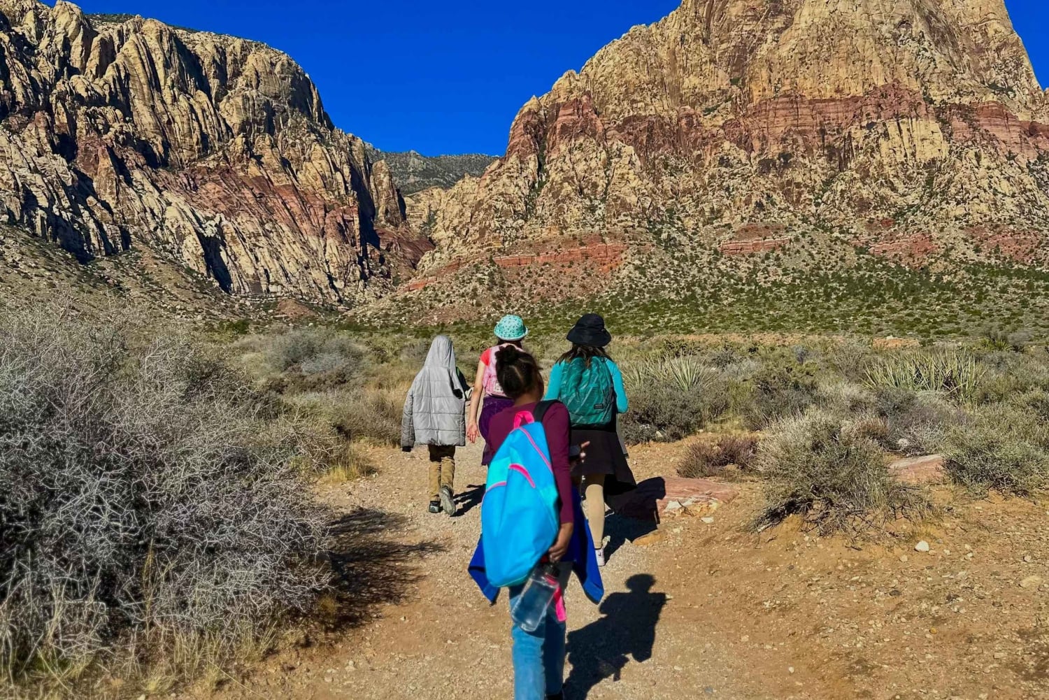 Las Vegas: Family Friendly Guided Hike to Emerald Falls