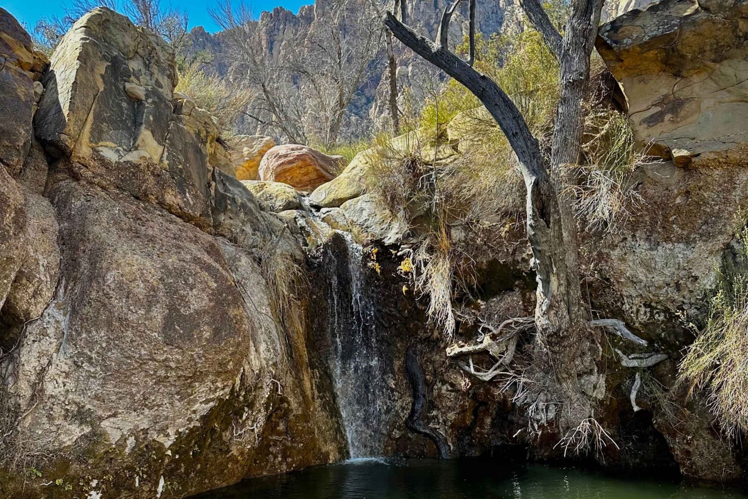 Las Vegas: Family Friendly Guided Hike to Emerald Falls