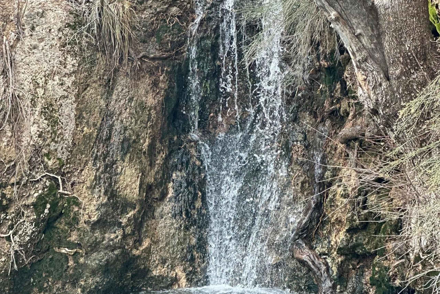 Las Vegas: Family Friendly Guided Hike to Emerald Falls